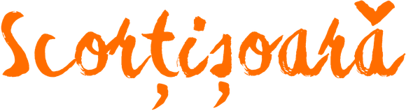 Inscripție cu cretă „scorțișoară”